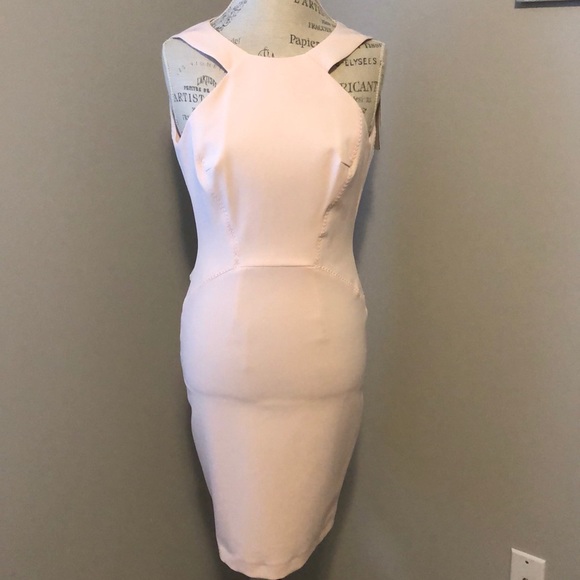 NWT French Connection Blush Pink Dress - Picture 3 of 8